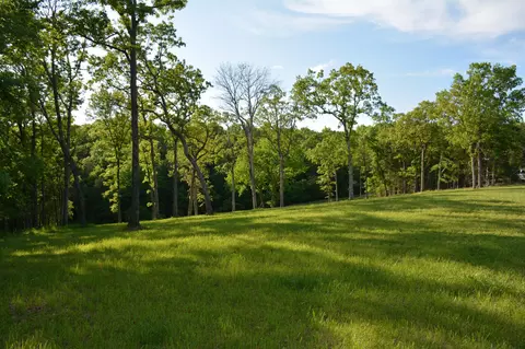 0 Hidden Meadow Ave, Branson, MO 65616 photo 6