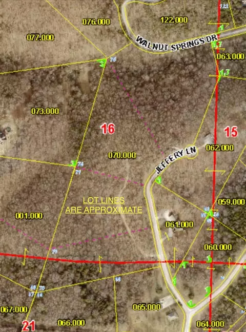 000 Jeffery, Cape Fair, MO 65624 photo 11