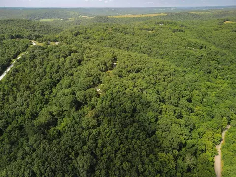 000 Jeffery, Cape Fair, MO 65624 photo 3