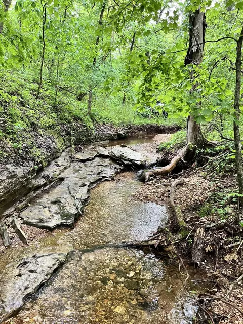 000 Jeffery, Cape Fair, MO 65624 photo 19