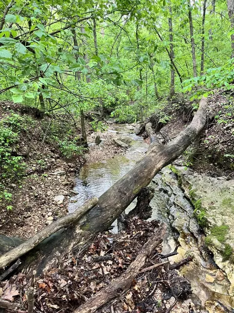 000 Jeffery, Cape Fair, MO 65624 photo 16