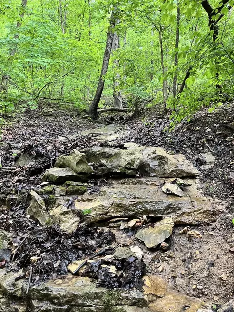 000 Jeffery, Cape Fair, MO 65624 photo 18