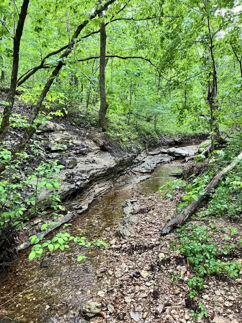 000 Jeffery, Cape Fair, MO 65624 photo 12