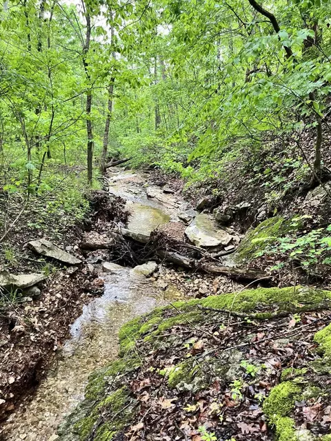000 Jeffery, Cape Fair, MO 65624 photo 15