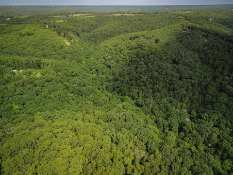 000 Jeffery, Cape Fair, MO 65624 photo 4