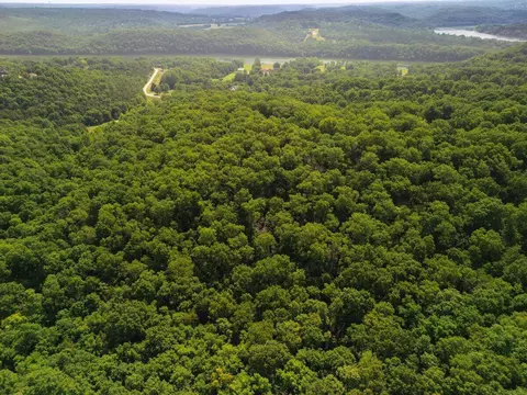 000 Jeffery, Cape Fair, MO 65624 photo 5