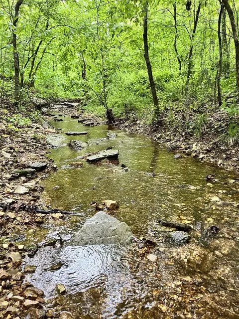 000 Jeffery, Cape Fair, MO 65624 photo 13