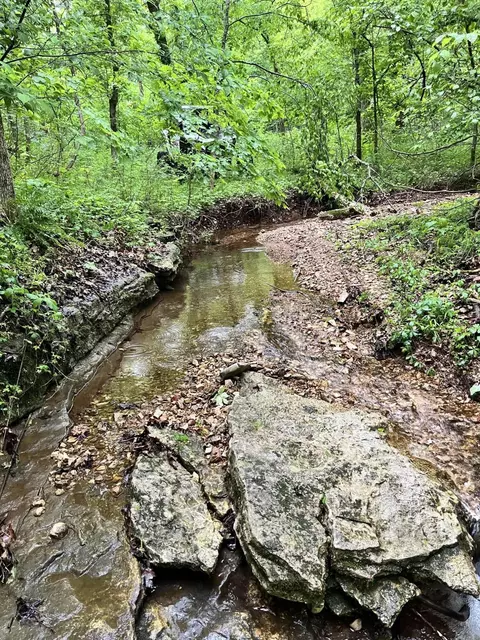 000 Jeffery, Cape Fair, MO 65624 photo 17