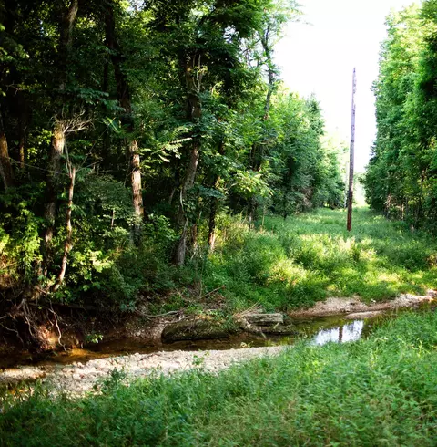 000 Cr- Aj435, Ava, MO 65608 photo 6