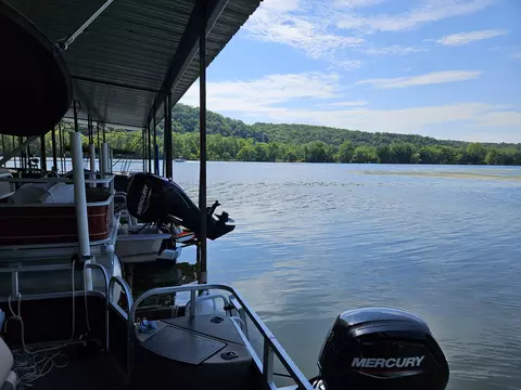 View/Area - 150 Sunken Forest Dr #207, Forsyth, MO 65653 photo 1 of 4