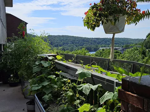 Other - 150 Sunken Forest Dr #207, Forsyth, MO 65653 photo 3 of 14