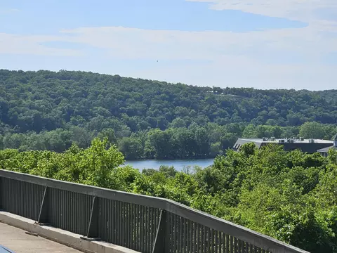 View/Area - 150 Sunken Forest Dr #207, Forsyth, MO 65653 photo 2 of 4