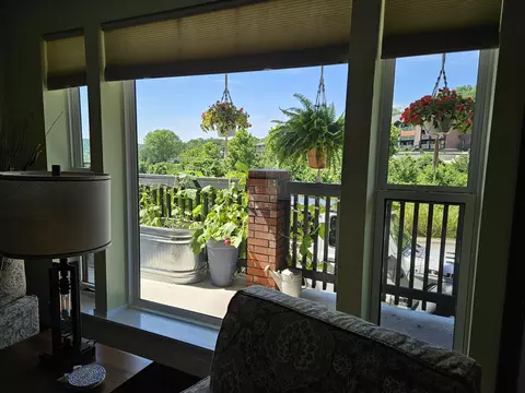 Other - 150 Sunken Forest Dr #207, Forsyth, MO 65653 photo 6 of 14