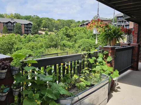 Exterior - 150 Sunken Forest Dr #207, Forsyth, MO 65653 photo 14 of 14