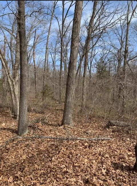 tbd Tract 6 Sans Souci Dr, Shell Knob, MO 65747 photo 2