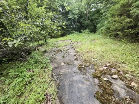 0 Crewse Ford Rd, Graff, MO 65660 photo 22