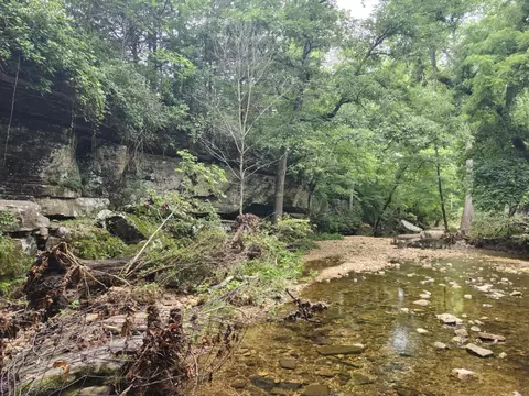 0 Crewse Ford Rd, Graff, MO 65660 photo 23