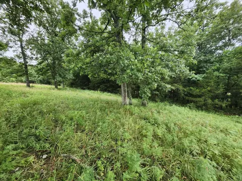 0 Crewse Ford Rd, Graff, MO 65660 photo 12