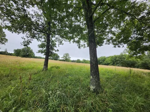 0 Crewse Ford Rd, Graff, MO 65660 photo 15