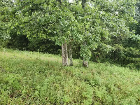 0 Crewse Ford Rd, Graff, MO 65660 photo 16