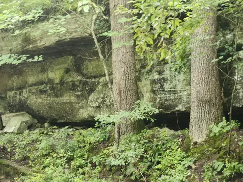 0 Crewse Ford Rd, Graff, MO 65660 photo 13