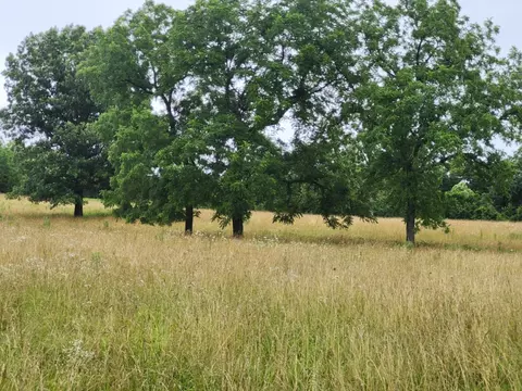 0 Crewse Ford Rd, Graff, MO 65660 photo 9