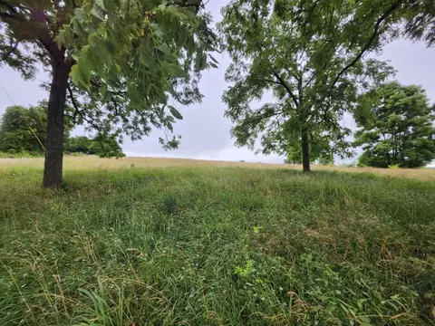 0 Crewse Ford Rd, Graff, MO 65660 photo 11
