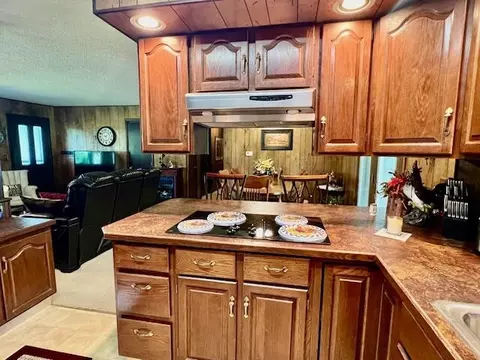 1199 County Road 103, Gainesville, MO 65655 photo 17