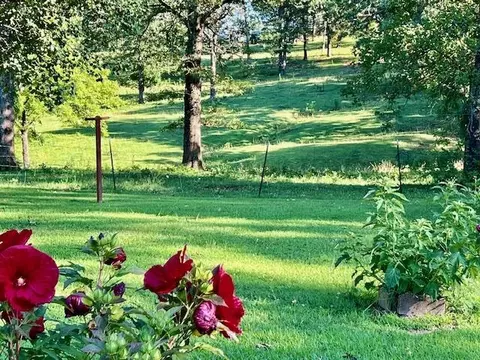 1199 County Road 103, Gainesville, MO 65655 photo 32