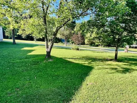 1199 County Road 103, Gainesville, MO 65655 photo 5