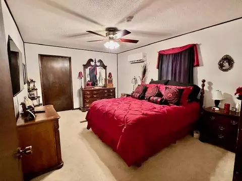 1199 County Road 103, Gainesville, MO 65655 photo 18