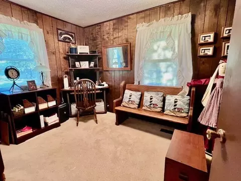1199 County Road 103, Gainesville, MO 65655 photo 21