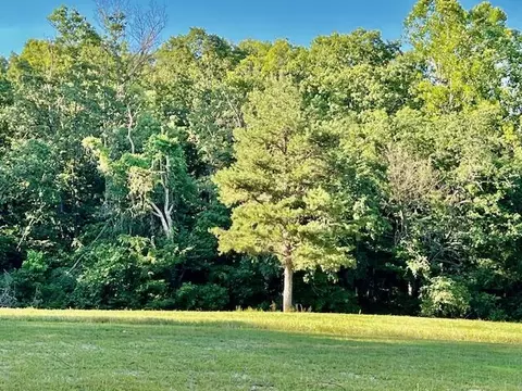 1199 County Road 103, Gainesville, MO 65655 photo 31