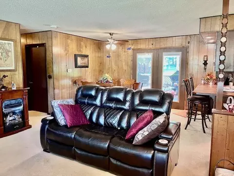 1199 County Road 103, Gainesville, MO 65655 photo 11