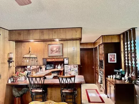 1199 County Road 103, Gainesville, MO 65655 photo 14