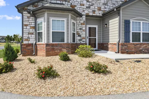 115 Rue De Villas Cir, Branson, MO 65616 photo 4