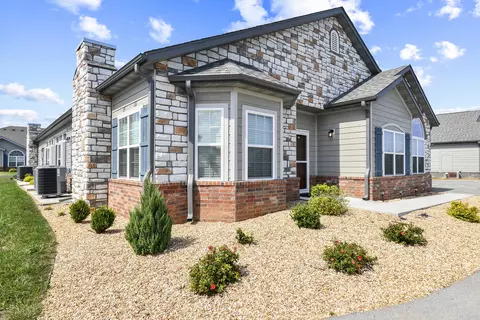 115 Rue De Villas Cir, Branson, MO 65616 photo 3