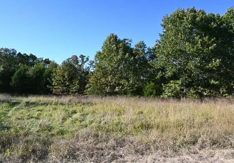 lot1 Stoney Point Cir, Shell Knob, MO 65747