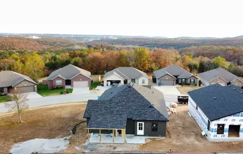 242 Redwine Ave, Branson, MO 65616 photo 35