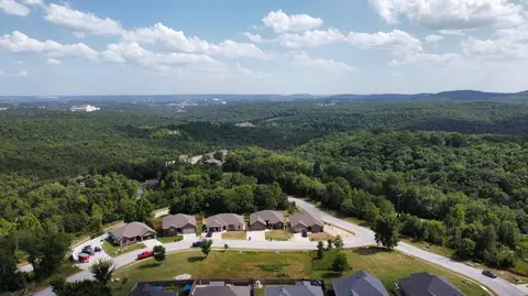 242 Redwine Ave, Branson, MO 65616 photo 46