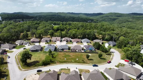 242 Redwine Ave, Branson, MO 65616 photo 44