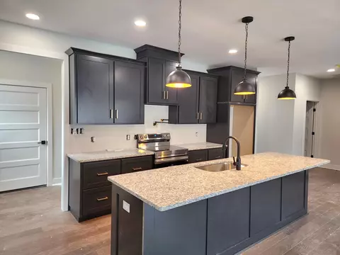 244 Redwine Cir, Branson, MO 65616 photo 19