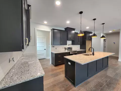 244 Redwine Cir, Branson, MO 65616 photo 18