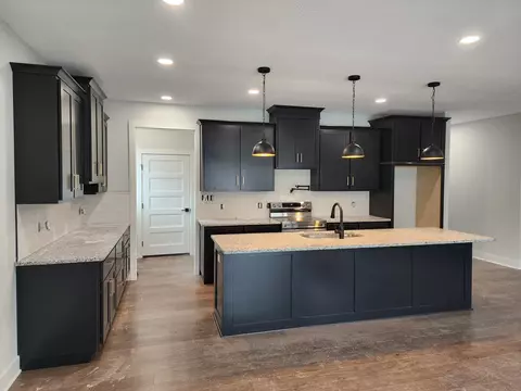 244 Redwine Cir, Branson, MO 65616 photo 20