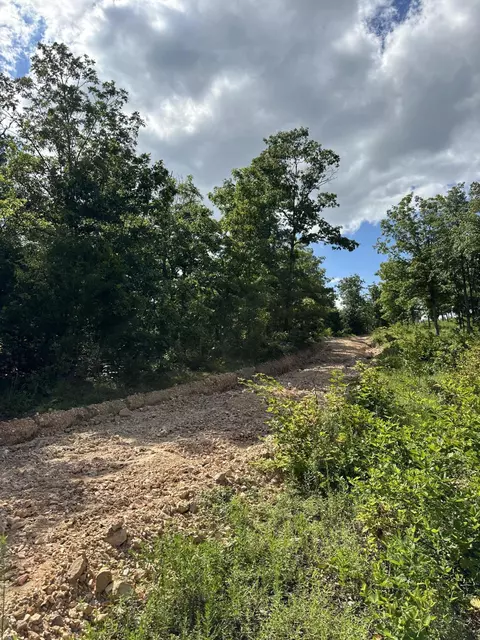 Undisclosed, Ava, MO 65608 photo 8