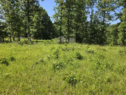 Undisclosed, Ava, MO 65608 photo 10