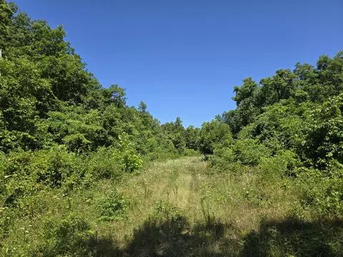 Undisclosed, Ava, MO 65608 photo 12