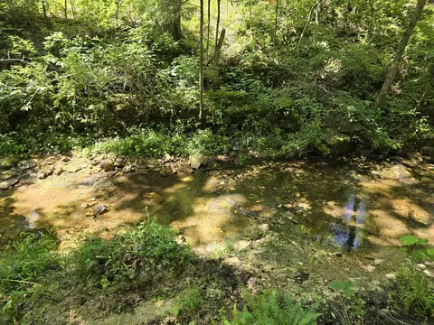 Undisclosed, Ava, MO 65608 photo 4