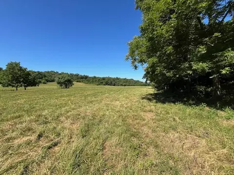 tbd Iris Rd, Neosho, MO 64850 photo 3