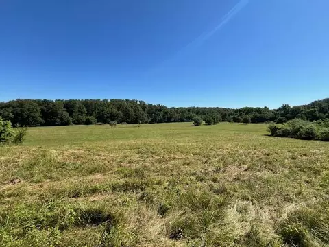 tbd Iris Rd, Neosho, MO 64850 photo 6